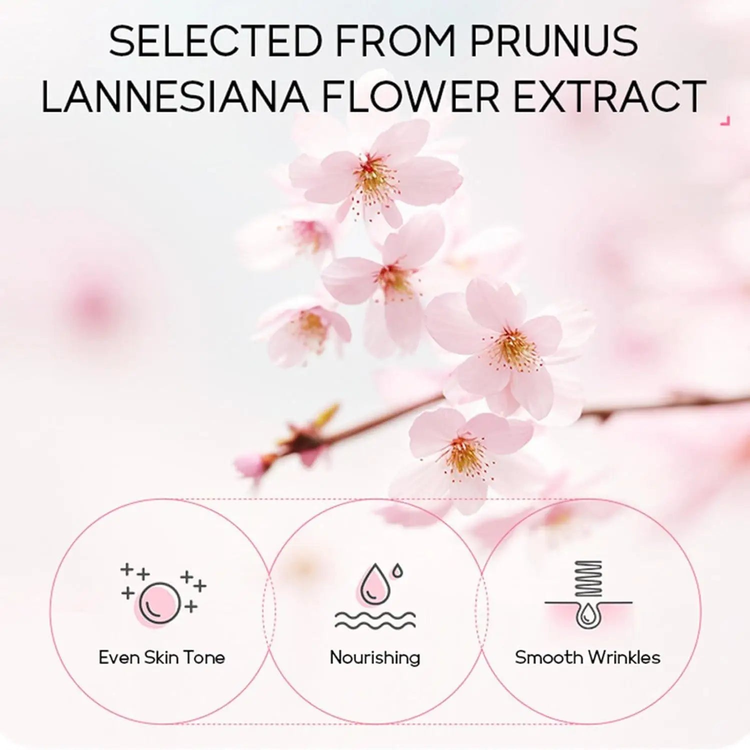 Sakura Skin Care Set 24pcs – Eye & Lip Masks, Serum, Mud Masks, Cleanser, Toner, Essence & Cream