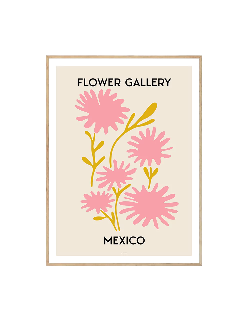 Flower Gallery Mexico